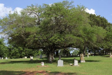 Doğu Teksas kırsalındaki tarihi mezarlık. Troup Şehir Mezarlığı Troup TX