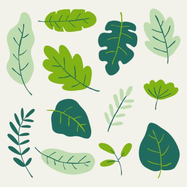 yaprakları elle çizilmiş bir dizi