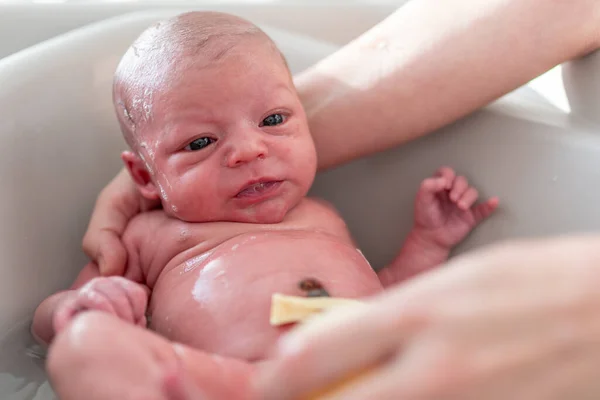 新生儿 只有几天的寿命 脐带上的夹钳在浴缸里用温水洗澡时仍是常规的睡前活动 — 图库照片
