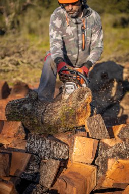 image of a man cutting wood with his chainsaw for the winter, vertical image, spot focus