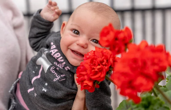 Portrait Beautiful Baby Smiling Next Some Pretty Red Flowers Baby — 图库照片