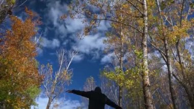 Kameranın aşağı doğru hareketi bir adamın ormandaki devrilmiş bir ağaç gövdesinde denge kurduğunu gösteriyor. Arka planda mavi gökyüzü.