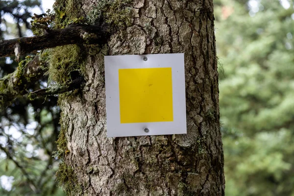Close up photo of a metal hiking sign placed on a tree in the forest.
