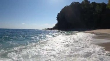 Görüntülerde Yunanistan 'da ağaçlarla dolu güzel bir sahil görülüyor. Arka planda mavi gökyüzü.