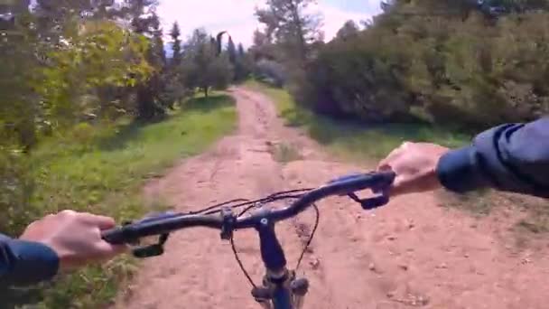Pov Footage Shows Person Rides Bike Dirt Road Grove Cloudy — Stock Video