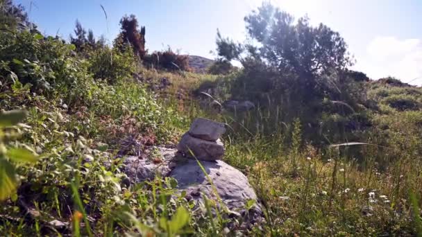 Hiker Holding Wooden Stick Walking Path Mountain — Stock Video