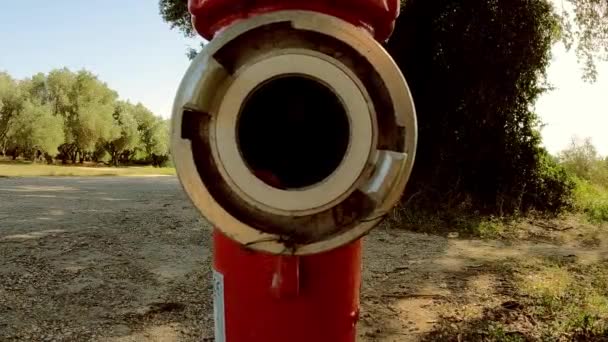 Görüntüyü Büyüt Parka Yerleştirilmiş Bir Yangın Musluğu Ortaya Çıkar — Stok video