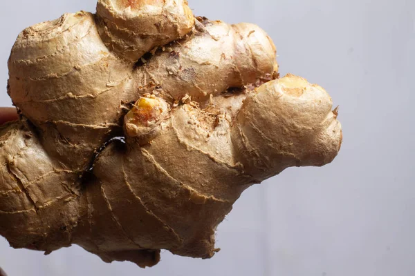 stock image Fresh Ginger on white background, herb medical concept