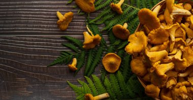 Ahşap arka planda mantar manzarası. Yüksek kalite fotoğraf