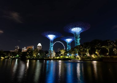 Geceleri bahçe rapsodisi sırasında körfez süperağaçlarının yanındaki bahçeler. Singapur 'un ünlü turistik merkezi. Yüksek kalite fotoğraf