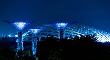 Geceleri bahçe rapsodisi sırasında körfez süperağaçlarının yanındaki bahçeler. Singapur 'un ünlü turistik merkezi. Yüksek kalite fotoğraf