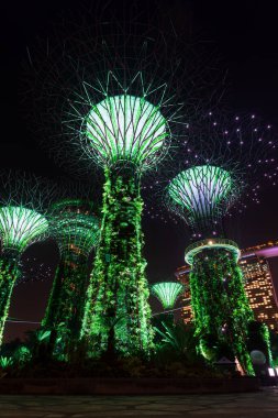 Geceleri bahçe rapsodisi sırasında körfez süperağaçlarının yanındaki bahçeler. Singapur 'un ünlü turistik merkezi. Yüksek kalite fotoğraf