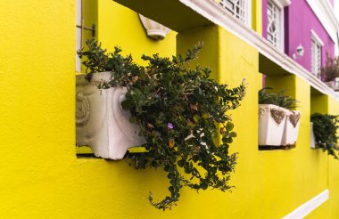 Bo Kaap, Cape Town, Güney Afrika bölgesi. Yüksek kalite fotoğraf