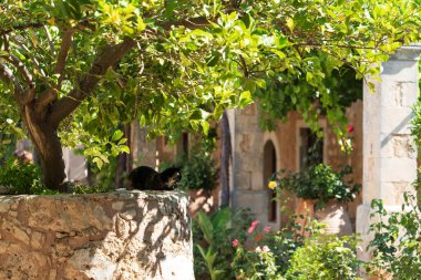 Yunanistan, Rethimno Girit 'teki Arkadi Manastırı. Yüksek kalite fotoğraf