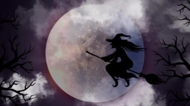 Cadılar Bayramı cadısı ay ışığında süpürgeyle uçuyor. 2D animasyon. 4k stok görüntüsü
