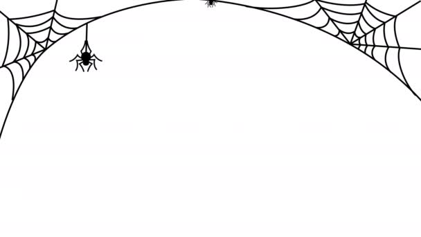 Halloween Zwarte Spinnen Opknoping Van Webben Witte Achtergrond Animatie Voorraad — Stockvideo