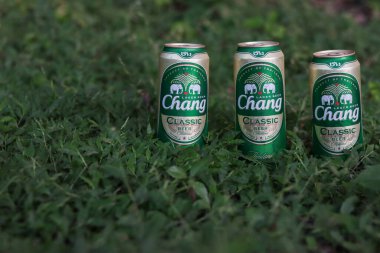 Chiang Mai Tayland 12 Ekim 2020 Konserve Chang birası arka planda güzel yeşillikler olan bir çimenliğe konur ve konserve Chang birası partiler için popüler bir biradır ve kolayca içilebilir..