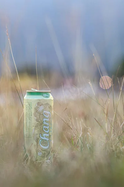 Chiang Mai Thailand January 2022 Canned Chang Beer Placed Lawn — Stock Photo, Image