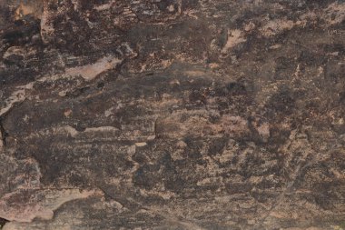 Wooden wall background that can see natural wood patterns look beautiful and is a popular wooden wall to decorate buildings both inside and outside. Wooden wall background and copy space for text.