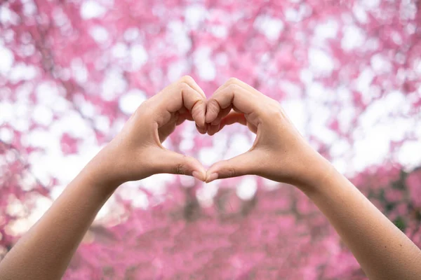young woman shows her hands above her head making  heart symbol to show friendship love and kindness because heart is symbol of love. Young woman showing love with heart symbol from her hand