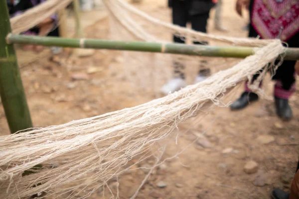 Hemp fibers are processed from hemp trees grown in hill tribe villages to prepare fibers for weaving from hemp fibers and sell them in the handmade market because of their high prices.