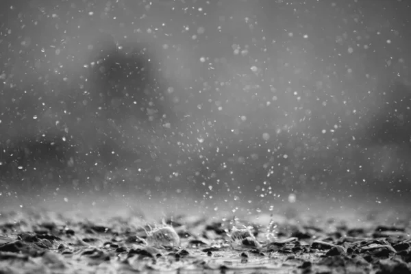 雨季の大雨により地面に降る雨滴の背景には 暗いスプレーの背景に多くのプロットから水が飛び散る原因となります — ストック写真