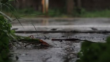 Depresyon Tayland 'ı vurduktan ve bazı bölgelerde sağanak yağış ve yol yüzeyini sel basmasından sonra oluşan sağanak yağış nedeniyle yola yağmur yağıyordu. Şiddetli yağmurun ardında