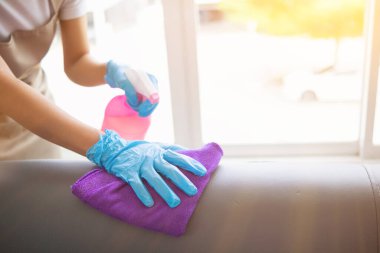 Cleaning staff is wiping cloth with cleaner and disinfectant on the surface of sofa to make the sofa clean with cleaning products and free from germs clinging to surface of the sofa in living room. clipart