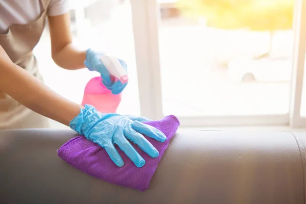 Cleaning Staff Wiping Cloth Cleaner Disinfectant Surface Sofa Make Sofa — Stock Photo, Image
