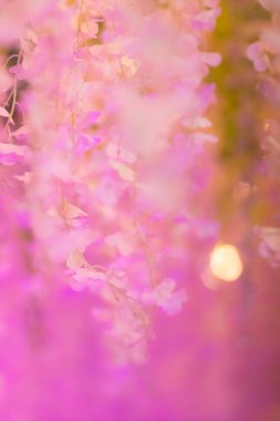 Desensiz renkli soyut bulanık arkaplan benzersiz soyut arkaplandır ve tipografi tasarımları için ideal bir arka plandır. Metin eklemek için kopyalama alanı ile bulanık arkaplan.