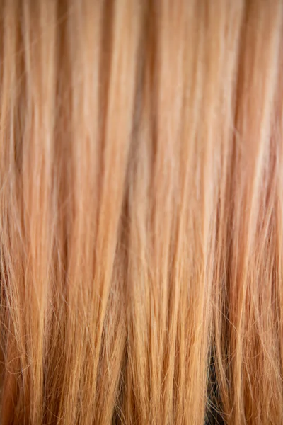 Красочный Фон Голове Молодой Женщины После Волосы Изменились Свежий Цвет — стоковое фото