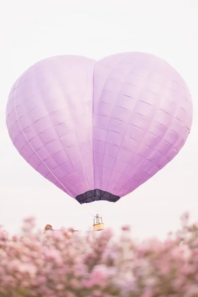 heart shaped hot air balloon floats over field of flowers in evening, and heart shaped balloons are also symbol of love and friendship. using heart shaped balloons as symbol of love and friendship.
