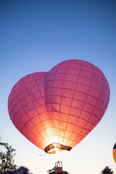 heart shaped hot air balloon floats over field of flowers in evening, and heart shaped balloons are also symbol of love and friendship. using heart shaped balloons as symbol of love and friendship.