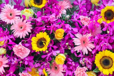 Çiçek festivalinde çiçeklerin arkaplanı ve parlak renkler güzel bir şekilde düzenlenmiş bahçede sergilenir. Metin eklemek için Kopyalama Boşluğu ile güzel renkli arkaplan.