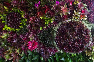 Çiçek festivalinde çiçeklerin arkaplanı ve parlak renkler güzel bir şekilde düzenlenmiş bahçede sergilenir. Metin eklemek için Kopyalama Boşluğu ile güzel renkli arkaplan.