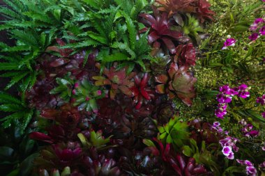 Çiçek festivalinde çiçeklerin arkaplanı ve parlak renkler güzel bir şekilde düzenlenmiş bahçede sergilenir. Metin eklemek için Kopyalama Boşluğu ile güzel renkli arkaplan.