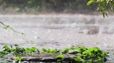 Heavy rain falling on the road surface is caused by seasonal rainstorms and heavy rainstorms reduce visibility and cause dangerous visibility and slippery roads. rain storm background