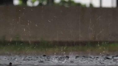 Heavy rain falling on the road surface is caused by seasonal rainstorms and heavy rainstorms reduce visibility and cause dangerous visibility and slippery roads. rain storm background