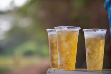 Bardakta servis edilen bira, dünya çapında popüler bir alkollü içkidir ve festivallerde genellikle kutlama içkisi olarak kullanılır. Bira, sıcak havadan dolayı bira bardaklarında buzla servis edildi..