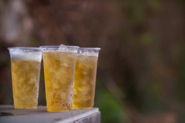 Bardakta servis edilen bira, dünya çapında popüler bir alkollü içkidir ve festivallerde genellikle kutlama içkisi olarak kullanılır. Bira, sıcak havadan dolayı bira bardaklarında buzla servis edildi..