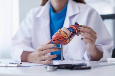 Doktorun elindeki gerçekçi kalp modeli, kalp rahatsızlığı olan hastaların sağlıklarına bakılması ve kalp hastalığı riski altındaki insanların düzenli kontrollere katılmaları için teşvik edilmesine yönelik kampanyanın sembolüdür..