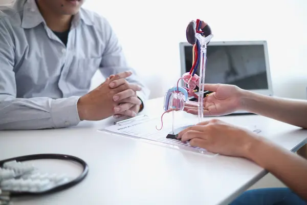 stock image A young man was diagnosed with a tumor in his prostate and the medical team diagnosed him with prostate cancer and provided counseling to health care patients to undergo cancer treatment and surgery.