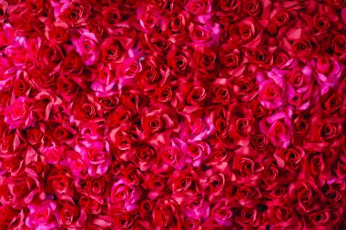 Arkaplan bulanık pembe güllerle dolu güzel ve rengarenk bir çerçeve tasarımlar için uygun ve metin eklemek için Kopyalama Boşluğu var. Sevgililer Günü kartı için mükemmel pembe bir arkaplan..