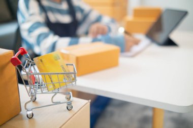 Kredi Kartı Alışveriş Aracı, güvenli bir başvuru ve kredi kartları üzerinden online alışveriş yaparken ürünleri ödemek için kredi kartı kullanma konseptidir..