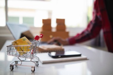 Kredi Kartı Alışveriş Aracı, güvenli bir başvuru ve kredi kartları üzerinden online alışveriş yaparken ürünleri ödemek için kredi kartı kullanma konseptidir..