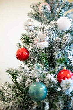 Noel ağacı Noel mevsimini aydınlatmak için küçük oyuncaklar ve toplarla süslenir ve Noel ağacı her mevsimde yeşildir. Efendimiz İsa 'nın sonsuzluğunu temsil ediyor..