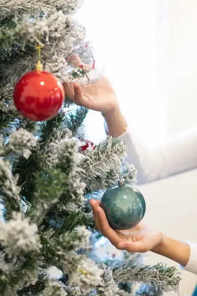 Noel ağacı Noel mevsimini aydınlatmak için küçük oyuncaklar ve toplarla süslenir ve Noel ağacı her mevsimde yeşildir. Efendimiz İsa 'nın sonsuzluğunu temsil ediyor..