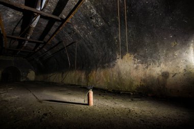 Hırvatistan 'daki terk edilmiş Zeljava hava üssü