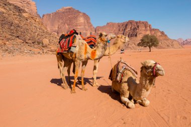 Wadi Rum Çölü manzarası, Ürdün