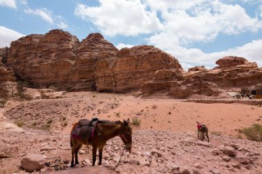 Petra, çöldeki antik şehir.